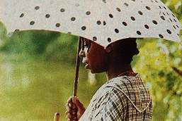 El color púrpura : Foto