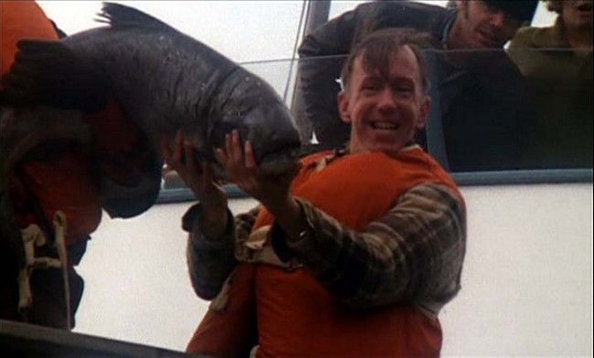 Atrapado sin salida : Foto