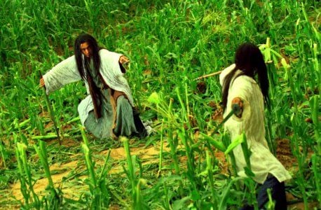  Cenizas del Tiempo : Foto