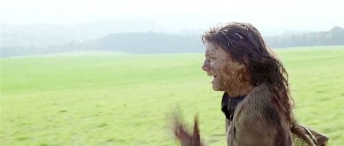 Bastardos sin gloria : Foto