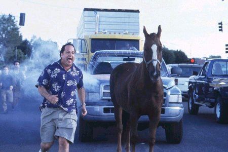 El mundo está loco, loco : Foto