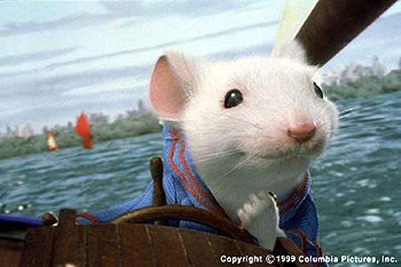 Stuart Little : Foto