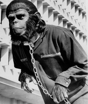 La conquista del planeta de los simios : Foto