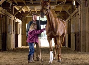Persiguiendo un sueño : Foto