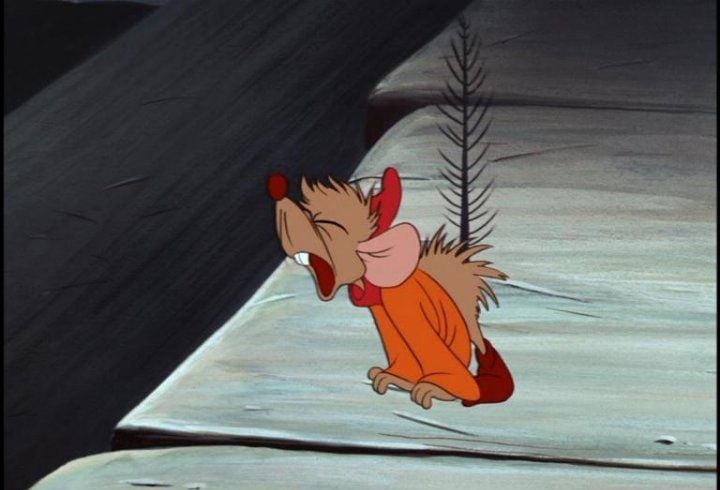 La cenicienta : Foto