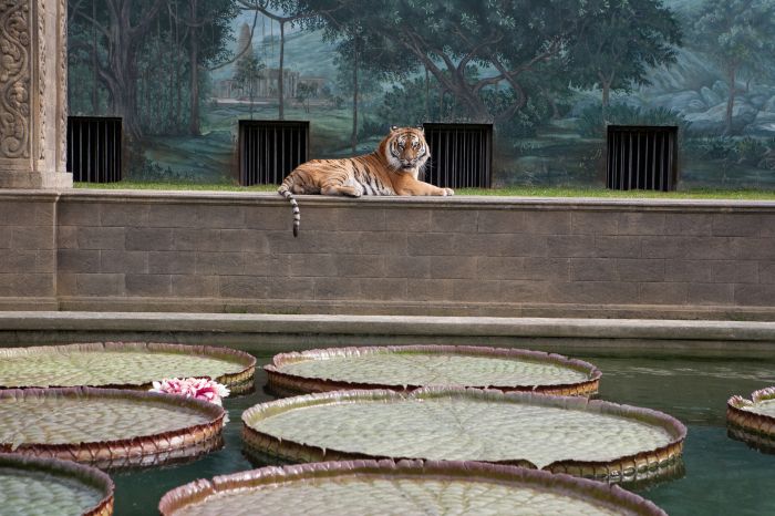 Una aventura extraordinaria : Foto