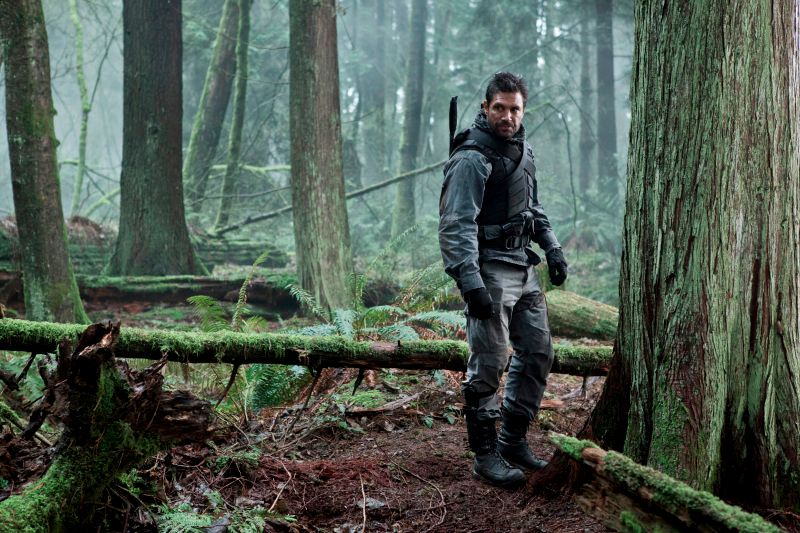 Arrow : Foto Stephen Amell