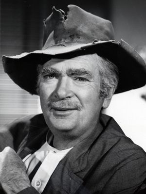 Póster Buddy Ebsen