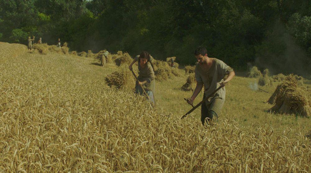 Foto Tom Cullen (III)