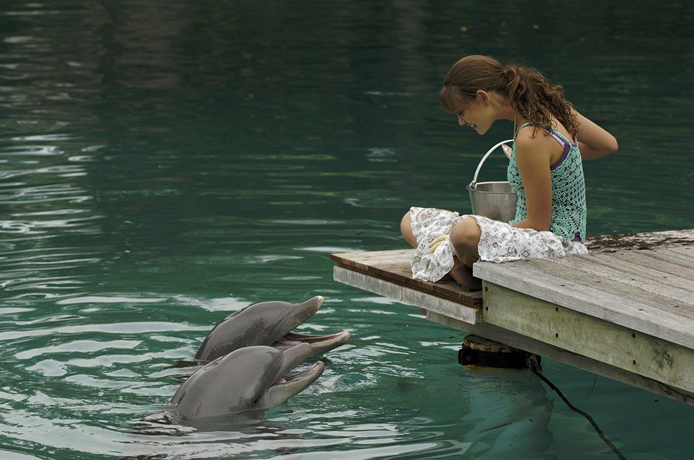 H20: Sirenas del Mar : Foto Phoebe Tonkin