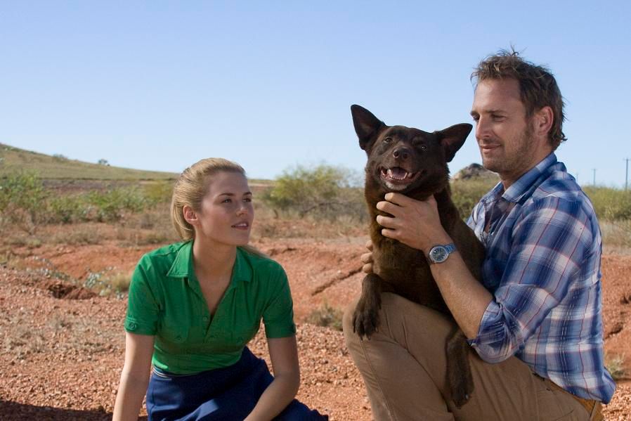 Foto Rachael Taylor, Josh Lucas