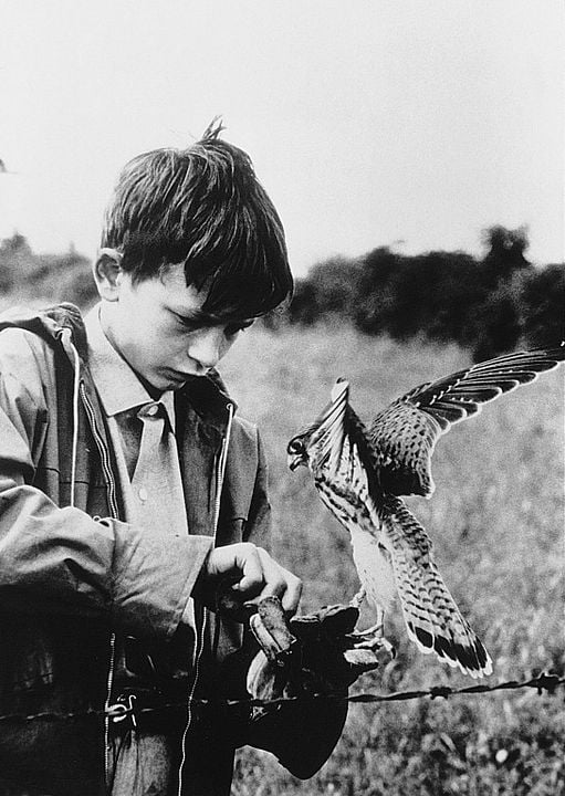 Foto David Bradley (II)