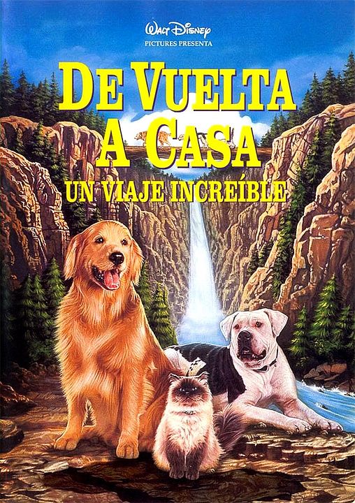 De vuelta a casa. Un viaje increíble : Póster