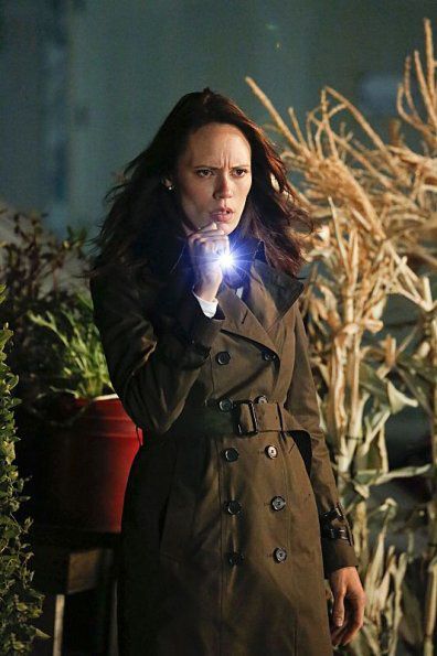 The Mentalist : Foto Emily Swallow