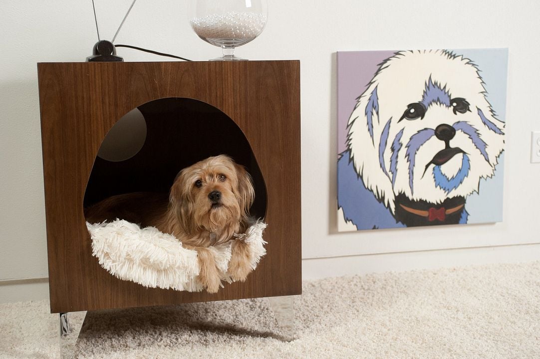 Al diablo con las noticias : Foto