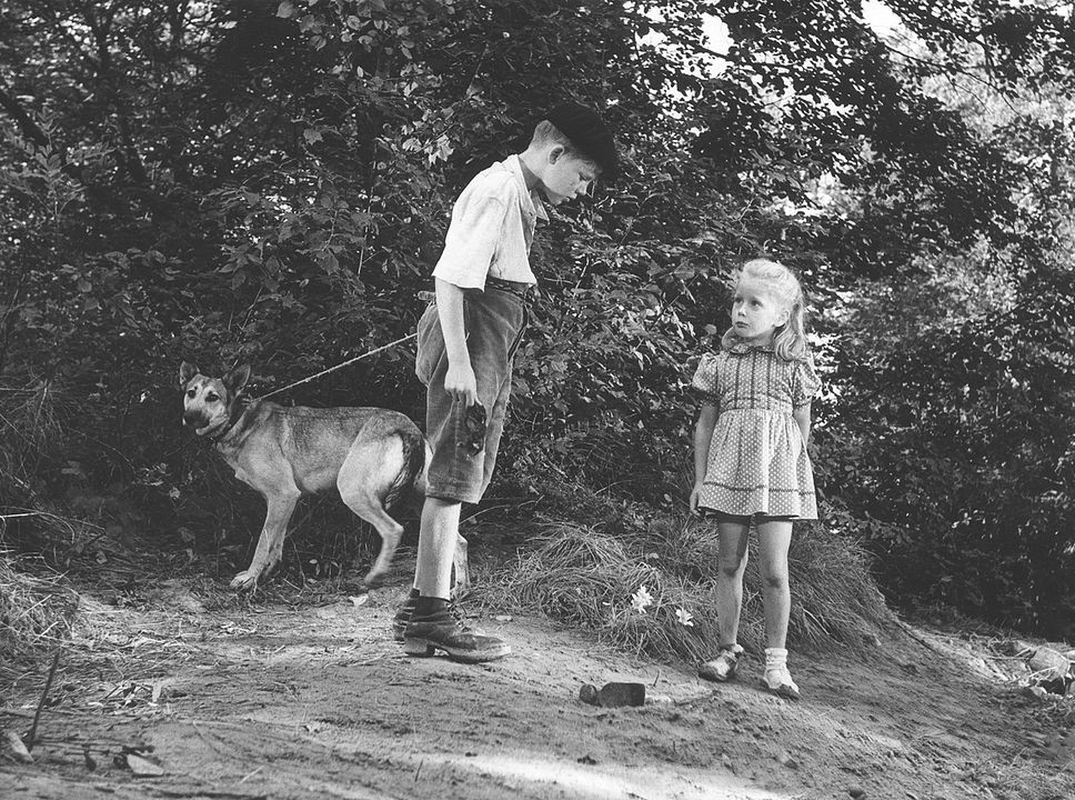 Foto Brigitte Fossey