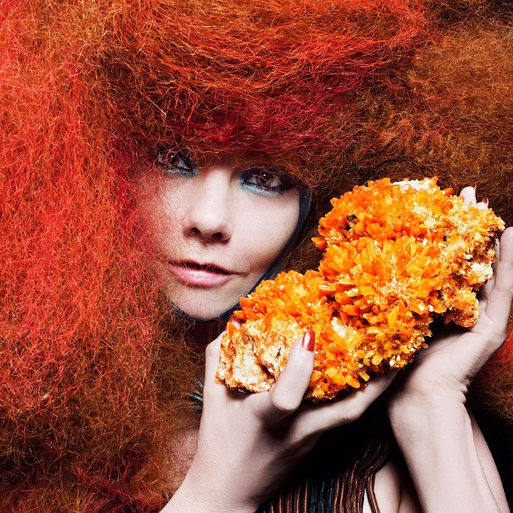 Foto Björk