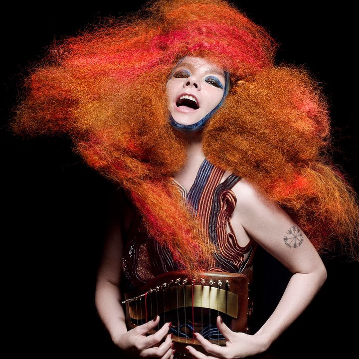 Foto Björk