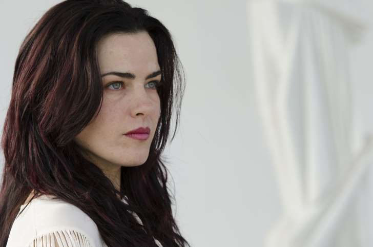 The Moving Forest : Foto