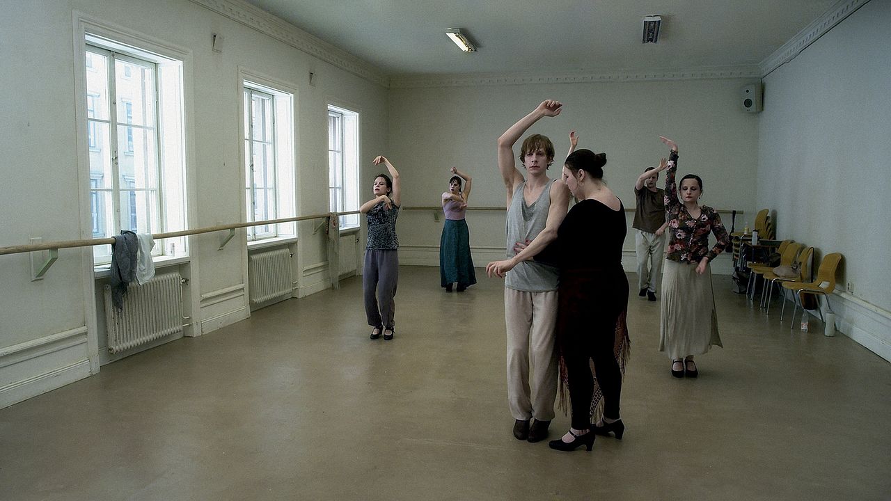 Una paloma se posó en una rama a reflexionar sobre la existencia : Foto