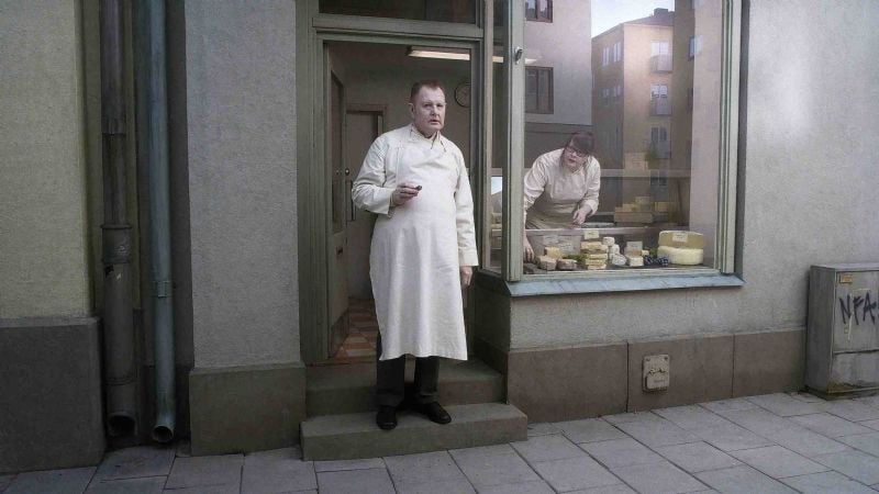 Una paloma se posó en una rama a reflexionar sobre la existencia : Foto