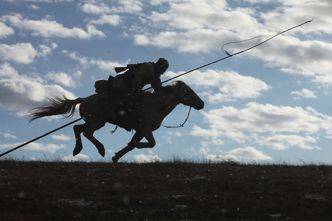 El último lobo : Foto