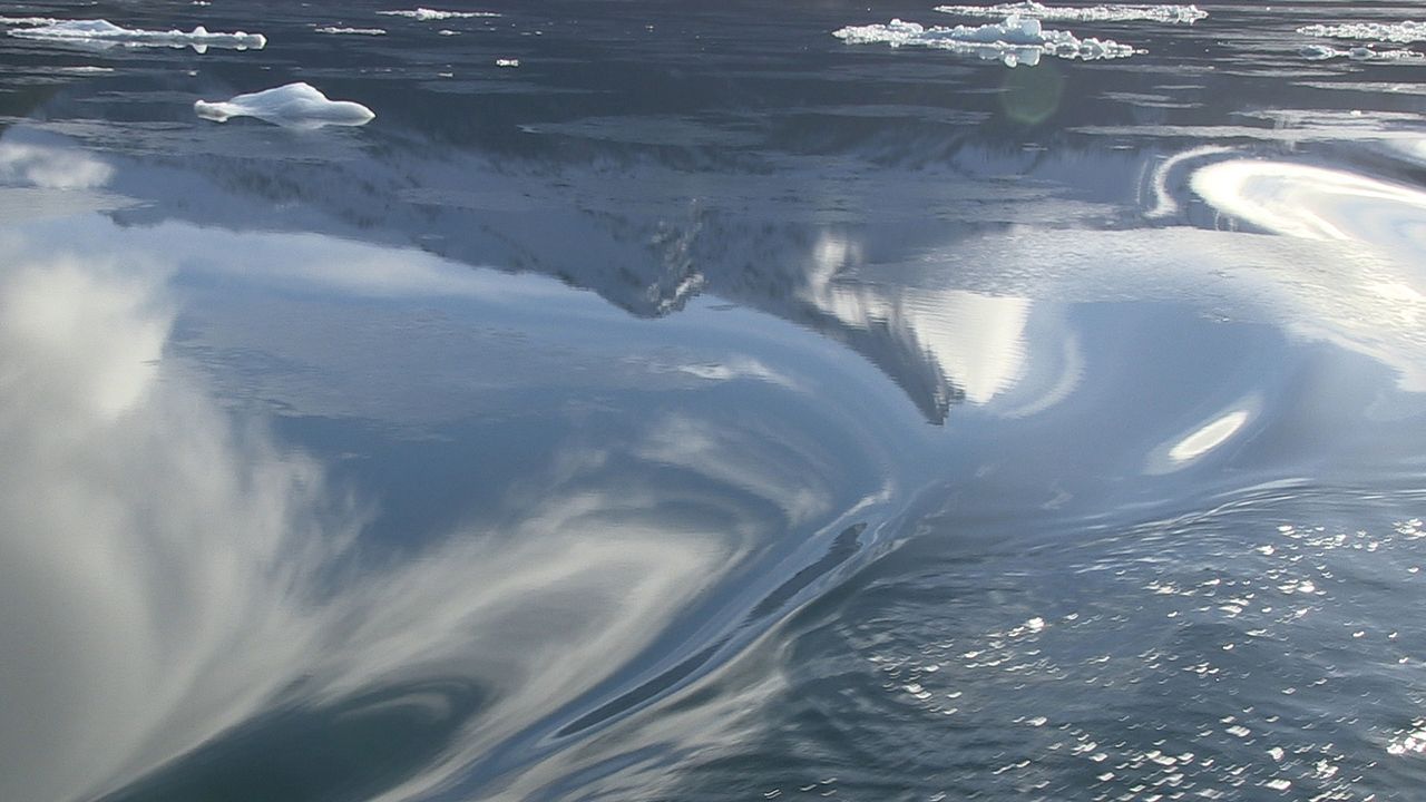 El Botón de Nácar : Foto