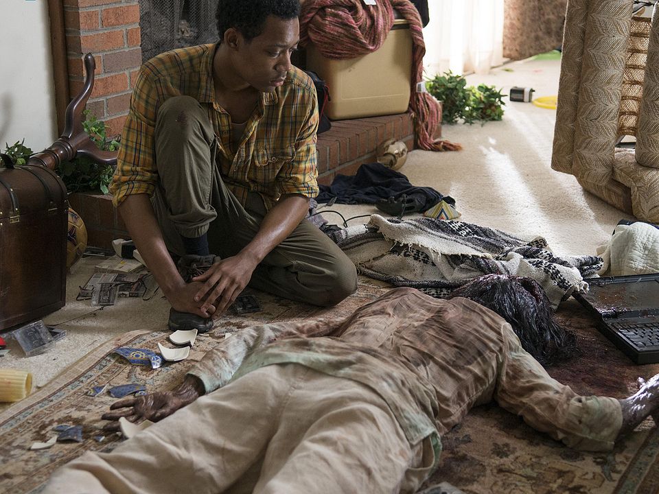 The Walking Dead : Foto Steven Yeun, Chad L. Coleman, Tyler James Williams, Andrew Lincoln