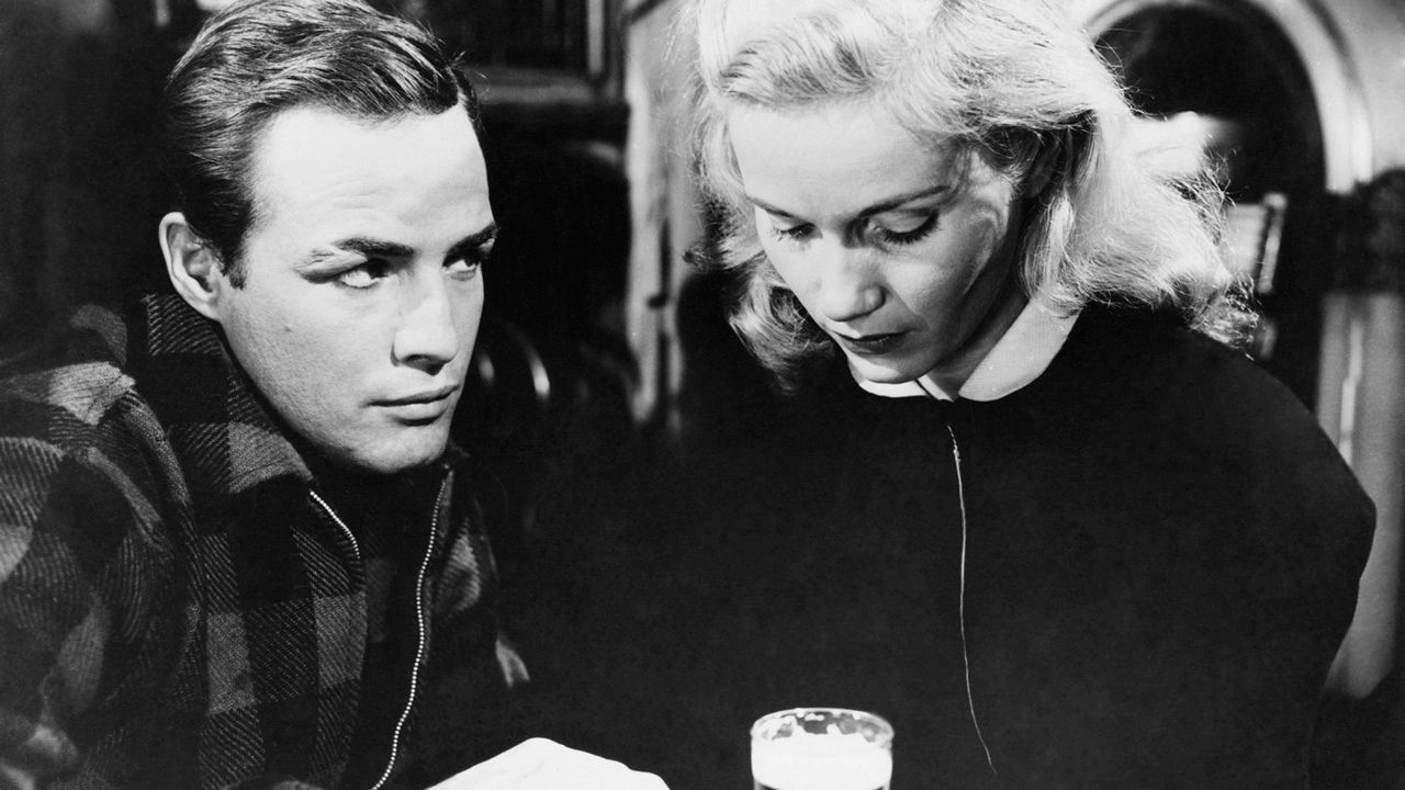 Nido de ratas : Foto