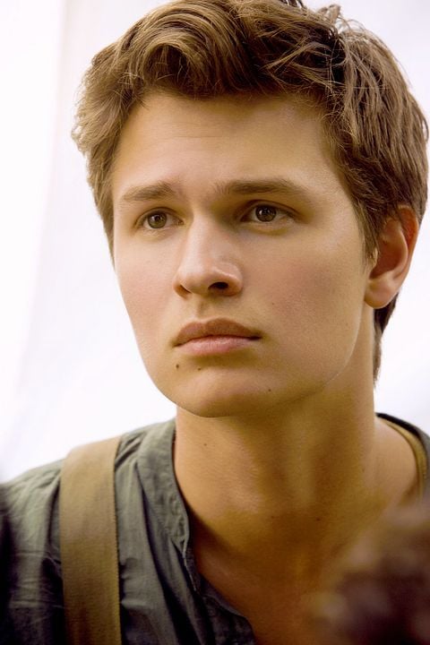La serie Divergente: Insurgente : Foto Ansel Elgort