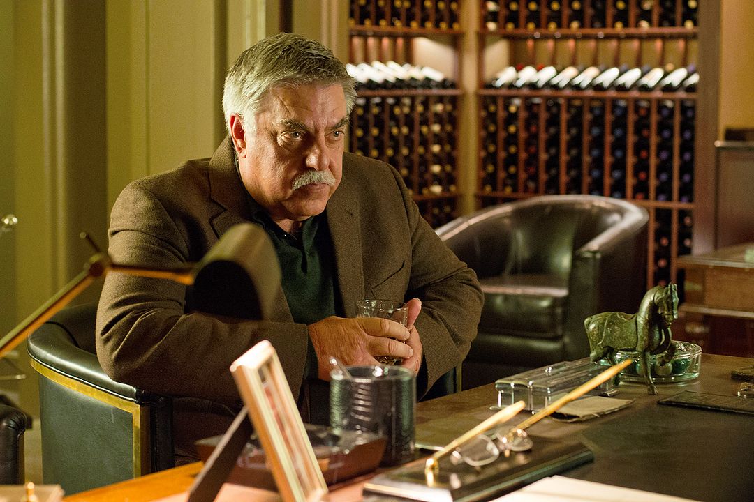 Una noche para sobrevivir : Foto Bruce McGill