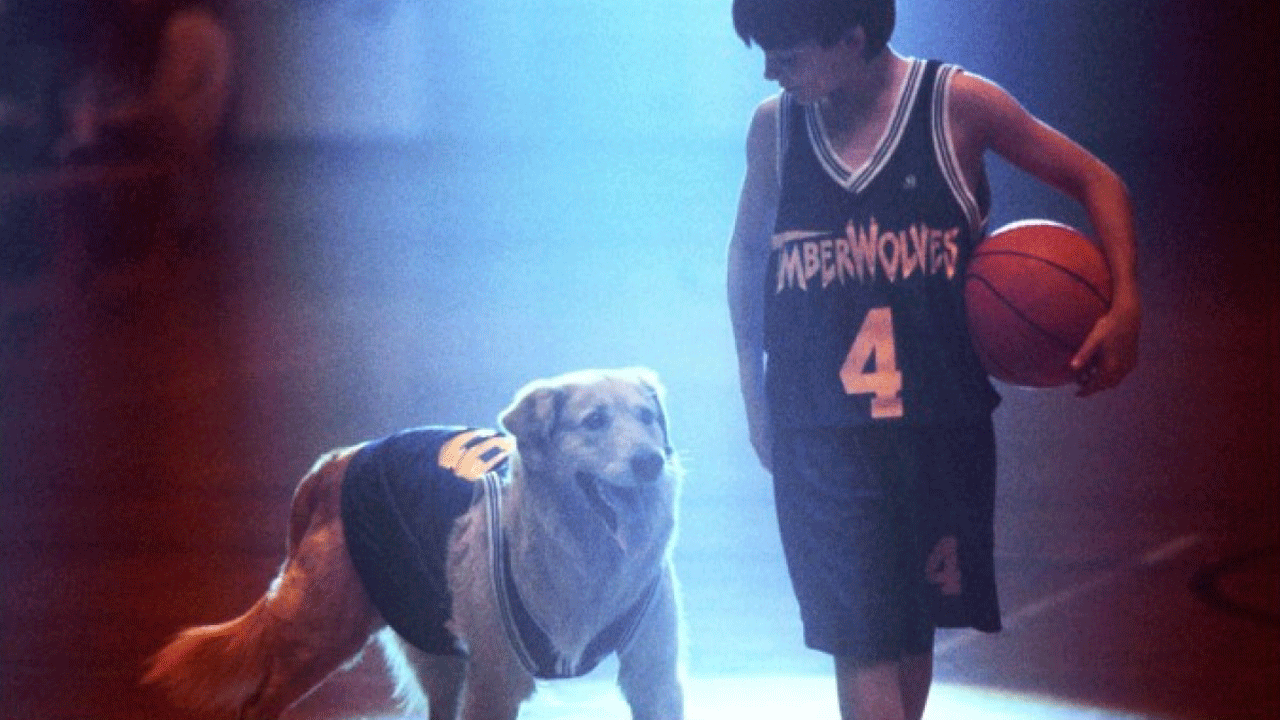 Air Bud : Foto