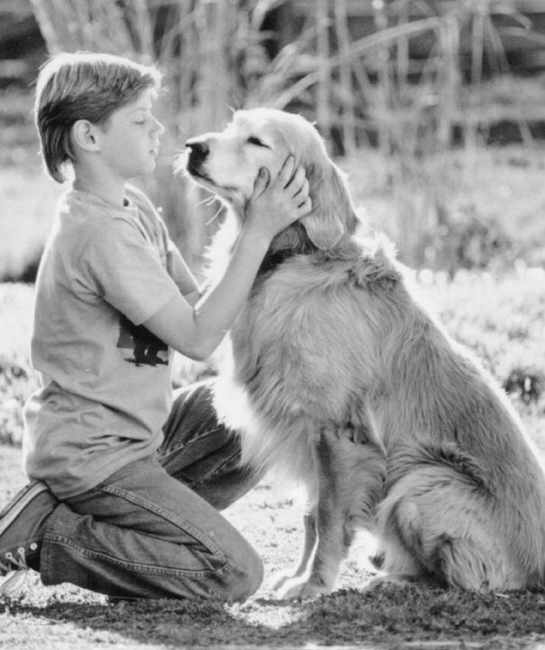 De vuelta a casa. Un viaje increíble : Foto