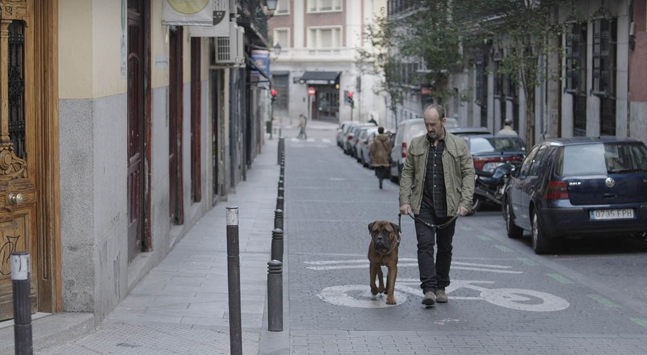 Una sonrisa a la vida : Foto Javier Cámara