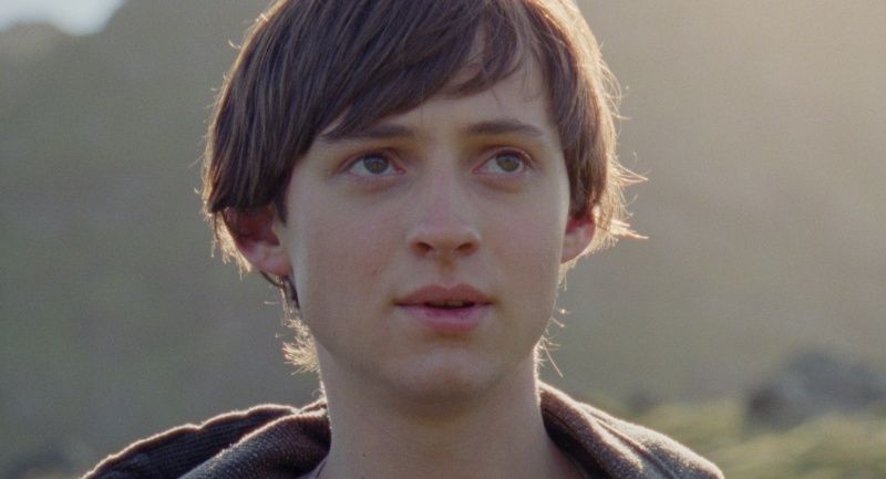 Sparrows (Gorriones) : Foto