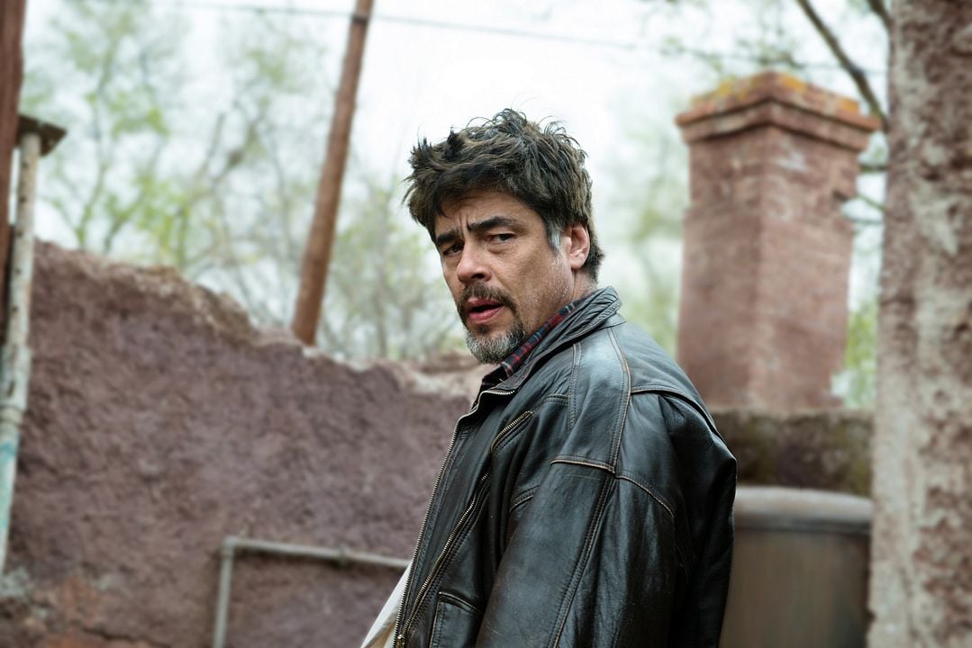 Un día perfecto : Foto Benicio Del Toro