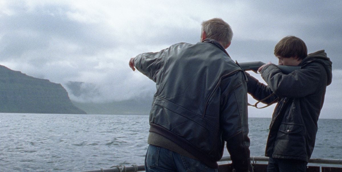 Sparrows (Gorriones) : Foto