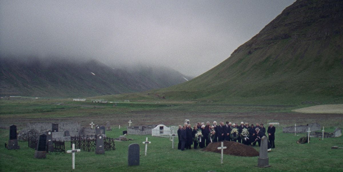 Sparrows (Gorriones) : Foto