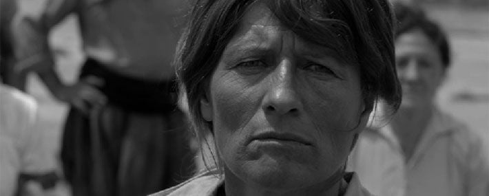 El Movimiento : Foto