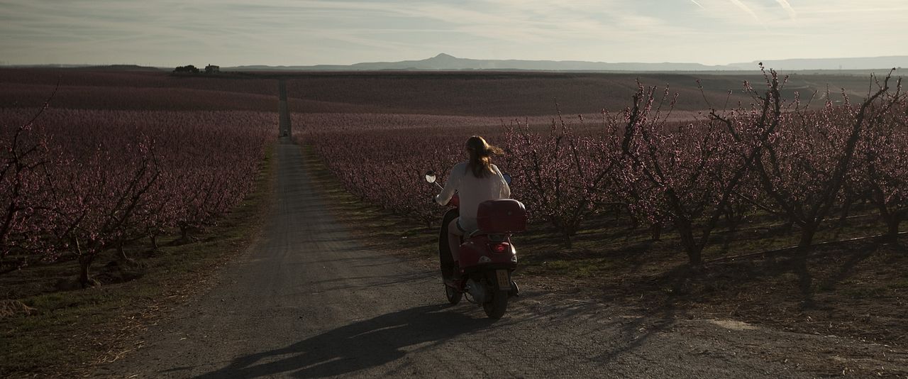 Segundo origen : Foto