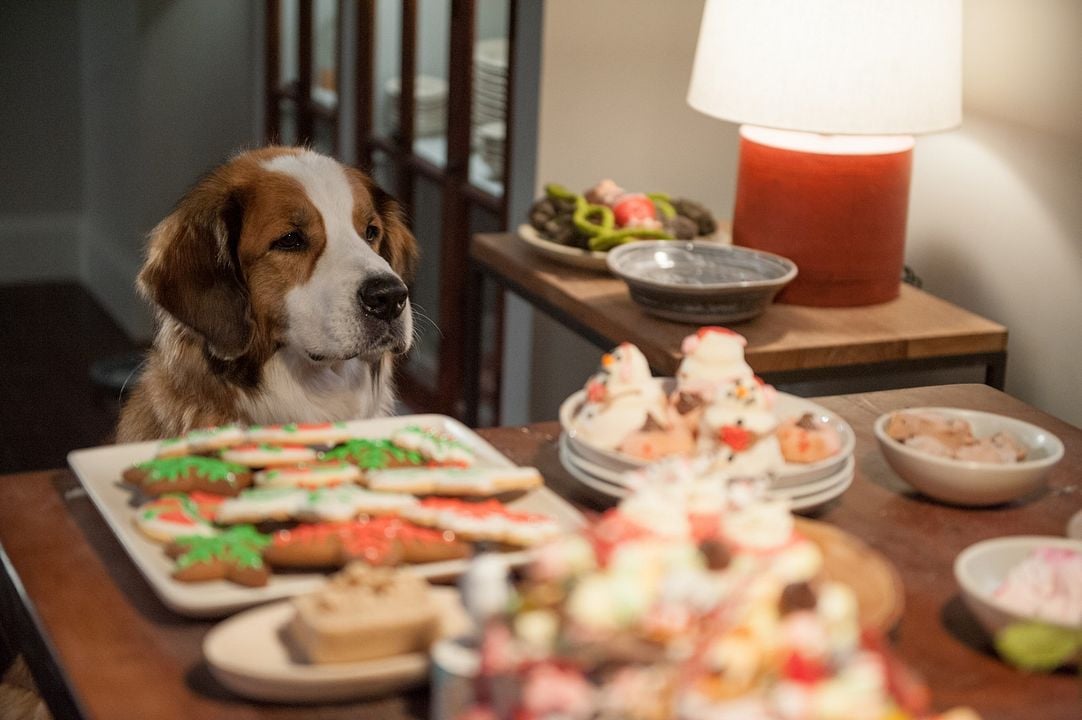 Navidad con los Cooper : Foto
