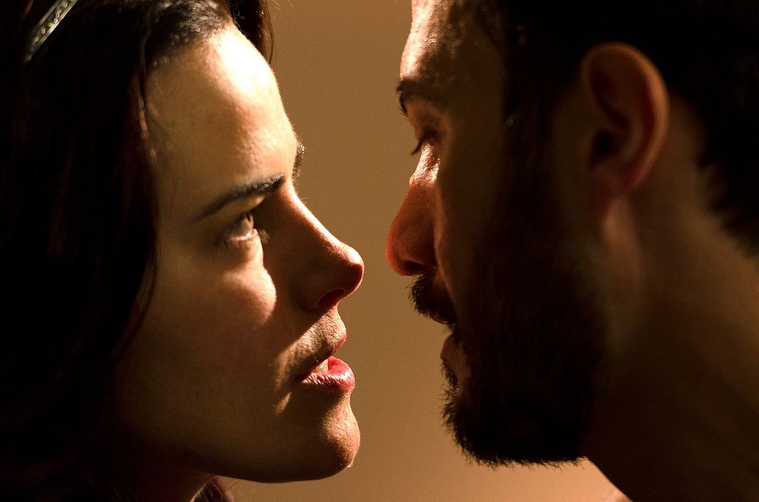 The Moving Forest : Foto