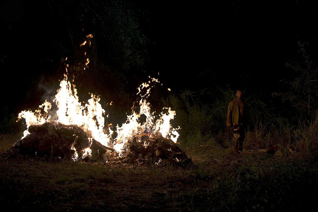 The Walking Dead : Foto Lennie James