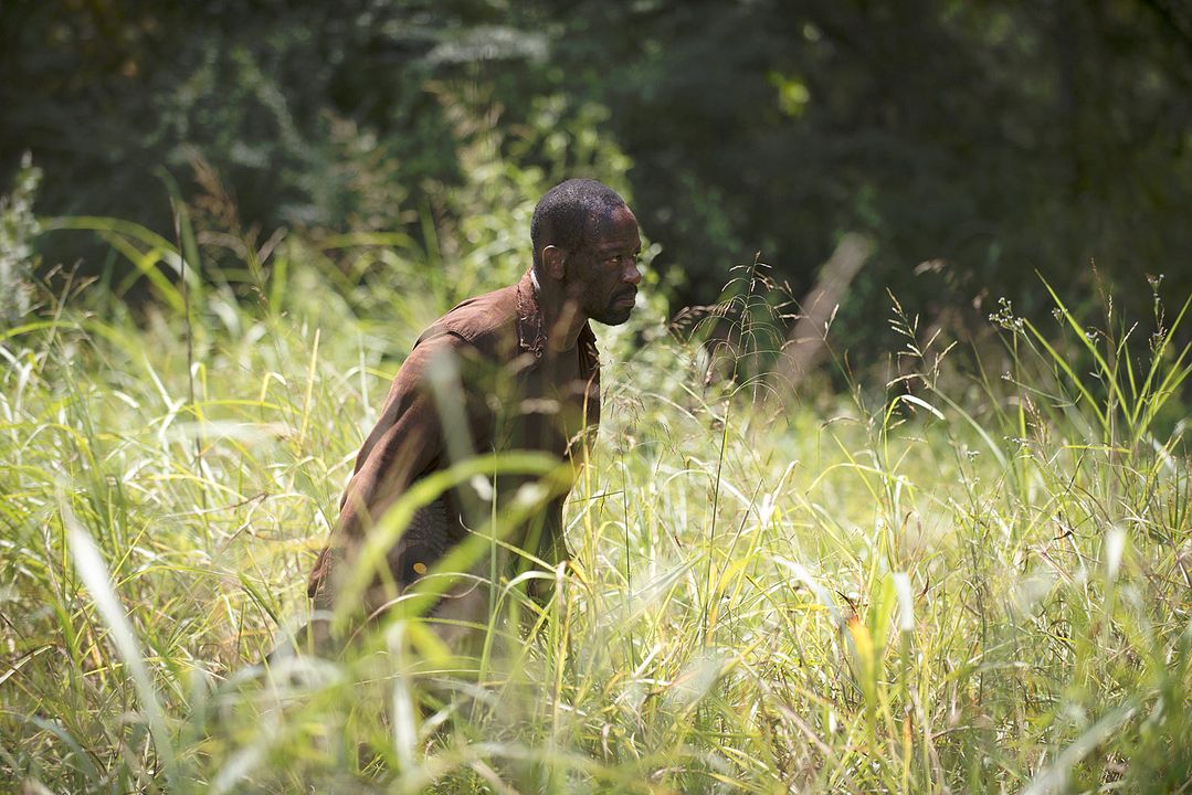 The Walking Dead : Foto Lennie James