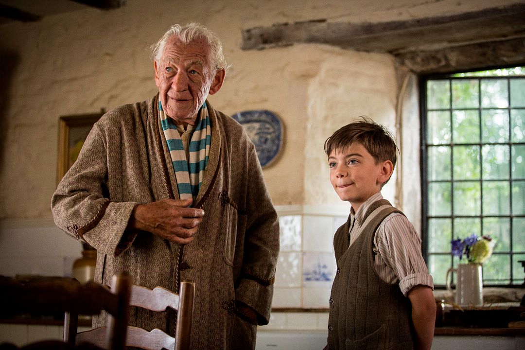 Mr. Holmes : Foto Ian McKellen