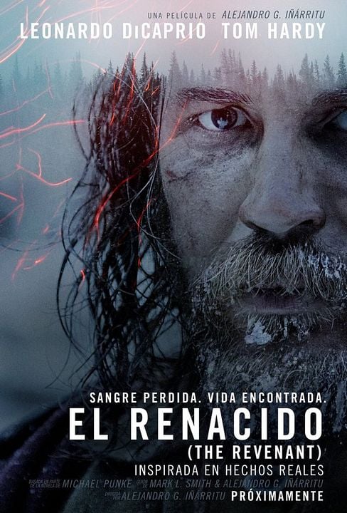 El renacido : Póster
