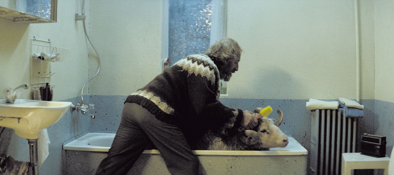 Rams (El valle de los carneros) : Foto