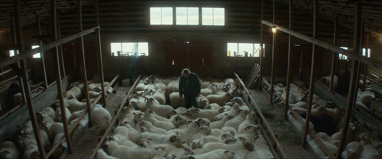 Rams (El valle de los carneros) : Foto