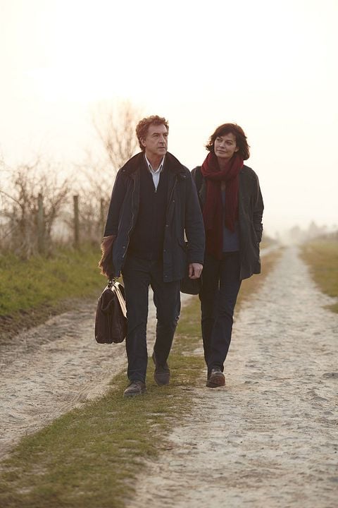 Un amigo irremplazable : Foto François Cluzet