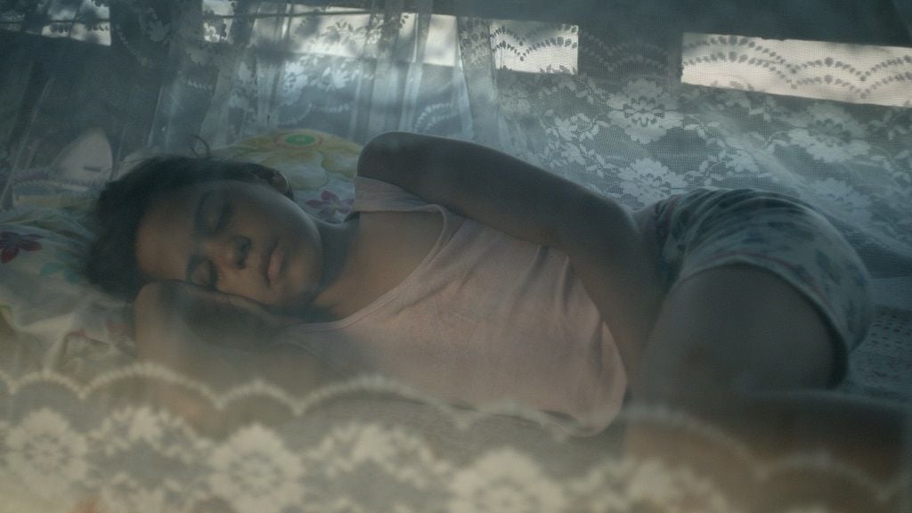 Toro de neón : Foto